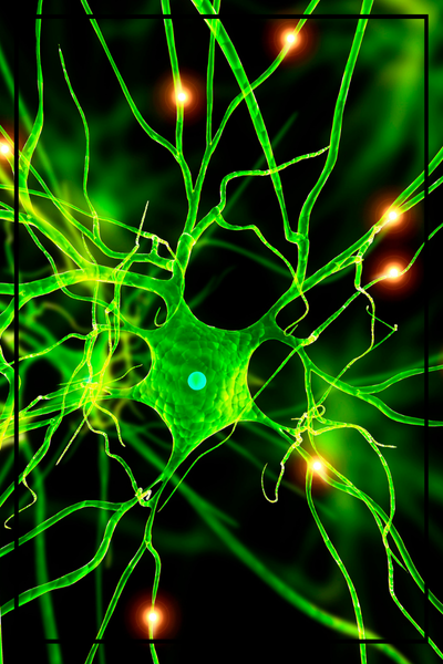 Panel Diagnostyczny -  NEURO