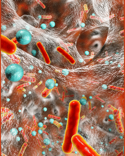 Panel Diagnostyczny - Podstawowy