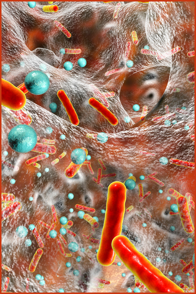 Panel Diagnostyczny - Podstawowy SZYBKI